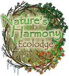 Nature's Harmony Logo