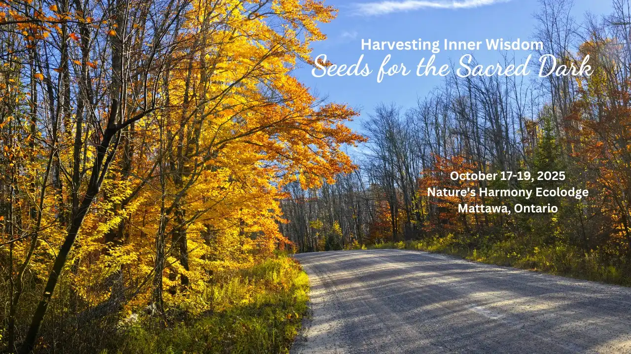 Harvesting Inner Wisdom: Seeds for the Sacred Dark